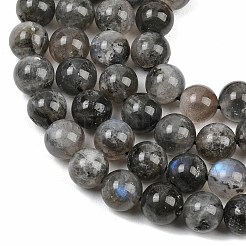 Natural Labradorite Beads Strands&nbsp;G-Z133-A01-10mm-01