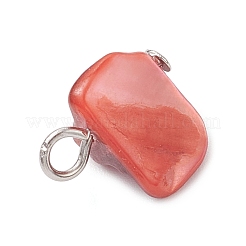Dyed Natural Sea Shell Nuggets Charms&nbsp;PALLOY-JF04307-01
