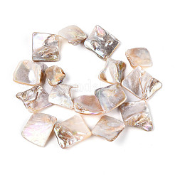 AB Color Natural Freshwater Shell Beads Strands&nbsp;BSHE-T014-38