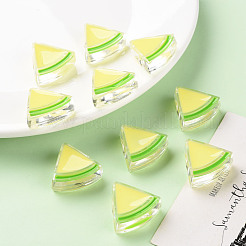 Transparent Enamel Acrylic Beads&nbsp;TACR-S155-001B
