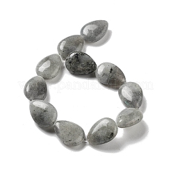 Natural Labradorite Beads Strands&nbsp;G-P528-L03-01