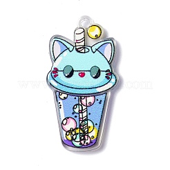 Transparent Printed Acrylic Pendants&nbsp;LS-TACR-G042-01E