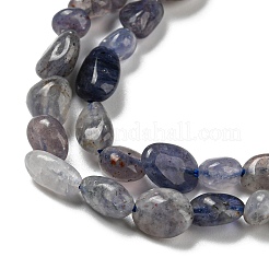 Natural Iolite Beads Strands&nbsp;G-P497-01A-13
