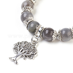 Chakra Jewelry&nbsp;BJEW-JB03829-04