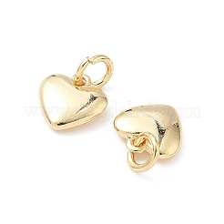 Brass Pendants&nbsp;KK-D386-06G