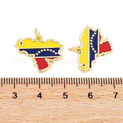 Rack Plating Brass Enamel Pendants&nbsp;KK-P269-07G