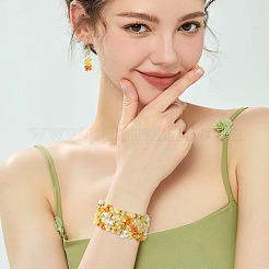 Mixed Styles Acrylic Beads&nbsp;SACR-TA0001-81E