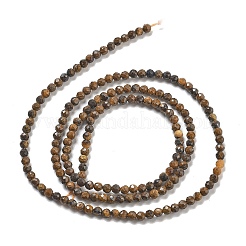 Natural Tiger Iron Beads Strands&nbsp;G-B120-A01-01
