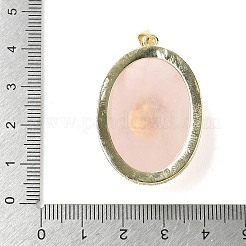 Natural Rose Quartz & Amethyst Pendants&nbsp;G-P599-05G-03
