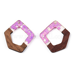 Transparent Resin & Walnut Wood Pendants&nbsp;RESI-N039-61A