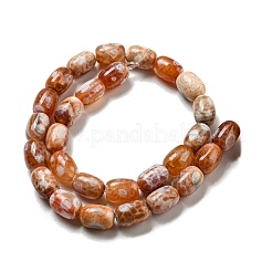 Natural Dragon Veins Agate Beads Strands&nbsp;G-A223-D11-01E