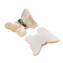 Natural White Shell & Paua Shell Cabochons&nbsp;SSHEL-I026-27