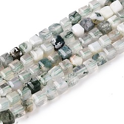 Natural Moss Agate Beads Strands&nbsp;G-T138-211K