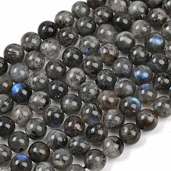 Natural Labradorite Beads Strands&nbsp;G-Z133-A01-10mm-01