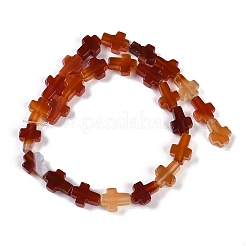 Natural Red Agate Beads Strands&nbsp;G-I369-A20-02