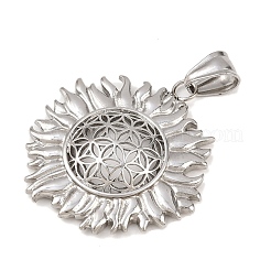 304 Stainless Steel Pendants&nbsp;LS-STAS-K316-02P