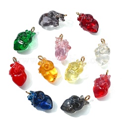 12Pcs 12 Colors Transparent 3D Resin Pendants&nbsp;RESI-CJ0005-29