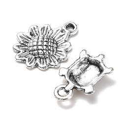 30Pcs 30 Style Tibetan Style Alloy Charms&nbsp;TIBE-YW0001-04