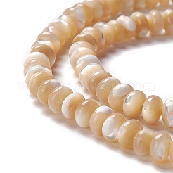 Natural Trochid Shell/Trochus Shell Beads Strands&nbsp;SSHEL-O001-24A-01