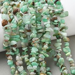 Natural Chrysoprase Beads Strands&nbsp;G-G0004-D01-A-01