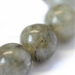 Natural Labradorite Round Bead Strands&nbsp;G-E334-8mm-19