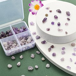 60G 4 Style Natural Mixed Gemstone Chip Beads&nbsp;G-FS0001-43