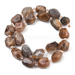 Natural Black Sunstone Beads Strands&nbsp;G-Z147-E06-01