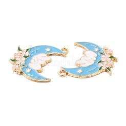Alloy Enamel Pendants&nbsp;FIND-C037-09G-01