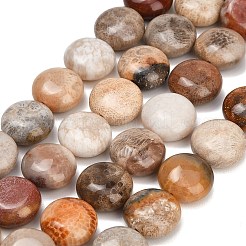 Natural Fossil Coral Beads Strands&nbsp;GG-CBA362F-02