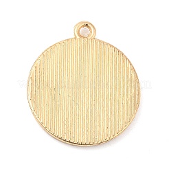 Alloy Pendants&nbsp;FIND-C037-15G-10