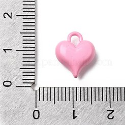 Baking Paint Zinc Alloy Pendants&nbsp;FIND-I070-04
