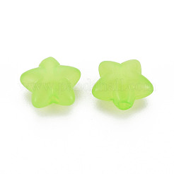 Transparent Acrylic Beads&nbsp;MACR-S373-26E-05