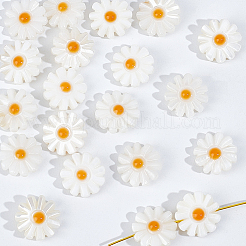 20Pcs Natural Freshwater Shell Beads&nbsp;SHEL-NB0001-65B