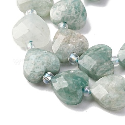 Natural Amazonite Beads Strands&nbsp;G-P570-E15-01