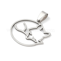 201 Stainless Steel Pendants&nbsp;STAS-F316-35P