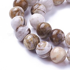 Natural America Petrified Wood Beads Strands&nbsp;G-P430-08-C