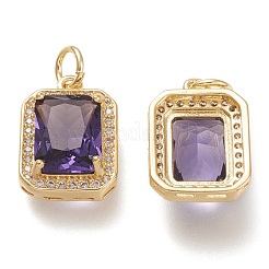 Brass Glass Charms&nbsp;ZIRC-F116-09B-G