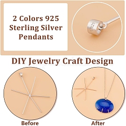 2Pcs 2 Colors 925 Sterling Silver Pendants&nbsp;FIND-PH0022-08