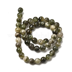 Natural Green Lepidolite Beads Strands&nbsp;G-K350-C01-8mm