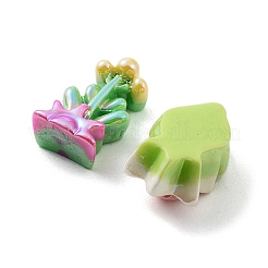 Spring Theme Opaque Resin Decoden Cabochons&nbsp;RESI-D010-06