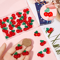 30Pcs Resin Imitation Fruit Pendants&nbsp;CRES-SC0002-94