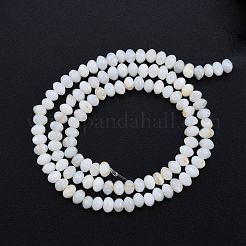 Natural Freshwater Shell Beads Strands&nbsp;SHEL-G013-03B
