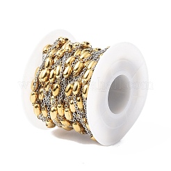 Two Tone 304 Stainless Steel Satellite Chains&nbsp;CHS-I020-02A