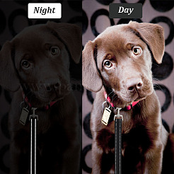 Adjustable Reflective Polyester Pet Leashes&nbsp;AJEW-WH0314-194