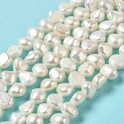 Natural Cultured Freshwater Pearl Beads Strands&nbsp;PEAR-E017-08