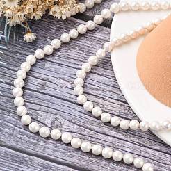 Shell Bead Strands&nbsp;BSHE-R146-6mm-02