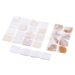 3Pcs 3 Styles Natural Shell Nail Art Display Board&nbsp;ODIS-TA0001-04