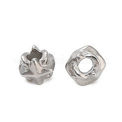 304 Stainless Steel Beads&nbsp;STAS-D204-63P