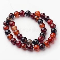 Natural Agate Beads Strands&nbsp;G-D845-02-10mm