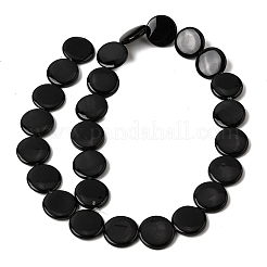 Natural Freshwater Shell Beads Strands&nbsp;SHEL-A006-01A